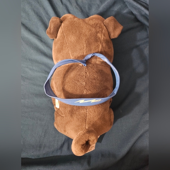 Bingo Plush Puppy Dog Pals Disney Store 10" Grey Frenchie Stuffed Animal Toy - Picture 3 of 9